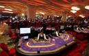 Reuters đưa tin về casino dành cho người Việt