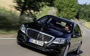 Mercedes-Benz S500 “lai” giữa động cơ điện và xăng sắp trình làng