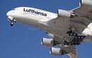 Lai lịch hãng hàng không Lufthansa vừa dừng hoạt động tại VN