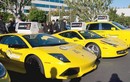 Hàng loạt siêu xe Lamborghini, Ferrari làm...taxi bình dân