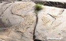 Phiến đá nổi lên hình bản đồ Việt Nam