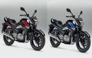 Suzuki Inazuma 250Z phiên bản đặc biệt sốt giá 120 triệu 