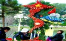 Những tác phẩm hoa độc đáo của Festival hoa Đà Lạt