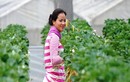 Nông dân xa xỉ thuê chuyên gia Châu Âu làm vườn