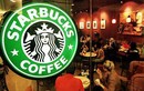 Lộ thông tin Starbucks khai trương loạt cửa hàng tại Hà Nội