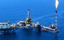 Công ty Nhật phát hiện mỏ dầu khí ngoài khơi Việt Nam