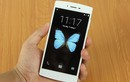 Bphone 2 giá dưới 10 triệu đồng, nhưng bao nhiêu thì bạn mua?