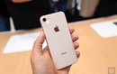 iPhone 8 Plus sạc nhanh đến mức nào?