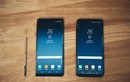 Samsung phủ nhận Galaxy Note 8 bị "tố" viền màn hình hở sáng