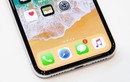 iPhone 8 Plus sẽ bán tốt hơn iPhone X