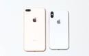 Vì sao iPhone 8 có thể ngáng đường iPhone X?