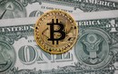 Điều gì đang xảy ra với Bitcoin?