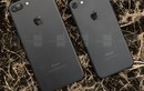 Apple bắt đầu bán iPhone 7 tân trang chỉ rẻ hơn hàng mới 50 USD