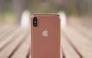 Lộ diện màu áo giúp phân biệt iPhone X mới với tiền nhiệm