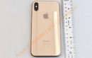 iPhone X màu Vàng Gold lộ ảnh thực tế