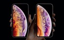 Có nên nâng cấp từ iPhone X lên iPhone Xs?