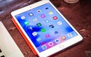 iPad Pro 2018 giá 16 triệu, sắp có iPad mini phiên bản 2019