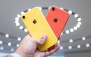 iPhone XR đang là mẫu iPhone bán chạy nhất của Apple