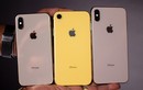 Apple cắt giảm 2, 5 triệu iPhone Xr và 1 triệu iPhone Xs?