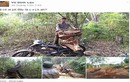 Lâm tặc đăng ảnh 'tự sướng', rao gỗ lậu trên Facebook