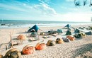 Thiên đường cắm trại biển thu hút giới trẻ Việt