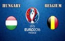 Euro 2016 Hungary - Bỉ: Thách thức với quỷ đỏ 