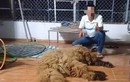 Người đàn ông Bạc Liêu giết thịt chó Ngao Tây Tạng gây sốc