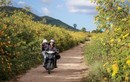 4 con đường ở Tây Nguyên đẹp như cảnh trên phim Hàn