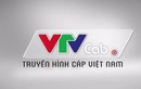 Dân mạng tưng bừng “bóc phốt” các dịch vụ của VTVcab