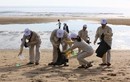 Giới trẻ Cửa Lò đua nhau nhặt rác vì môi trường biển Việt Nam xanh