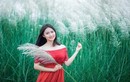 Tuyệt đẹp, bãi lau Thanh Chương hút hồn giới trẻ xứ Nghệ