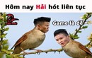 Dân mạng đua nhau chế ảnh 'hoạ mi song Hải' sau chiến thắng Yemen