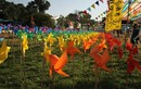Phát mê với “cánh đồng chong chóng” sắc màu tại Hoàng thành Thăng Long