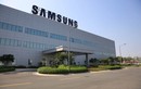 Nhà máy Việt Nam lỗ 1.000 tỷ, lợi nhuận Samsung "tụt dốc không phanh"