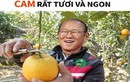 Ảnh chế bóng đá: Đội tuyển Việt Nam ăn ngon trái cam