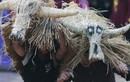 Độc đáo lễ hội “Trâu rơm bò rạ” tôn vinh văn hóa lúa nước