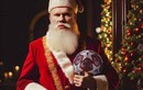 Hoán ông già Noel, Erling Haaland gây "bão" mạng mùa Giáng sinh