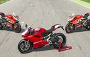 Ducati trình làng Panigale R 2015 “hợp thức hóa xe đua” 