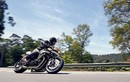 Yamaha XJR1300 “đẹp, độc, lạ” với phong cách Cafe Racer