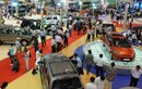 Thị trường ôtô Việt tăng trưởng mạnh 6 tháng đầu năm