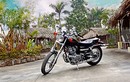 Honda Rebel 250 - “gã lãng tử không tuổi” dòng cruiser