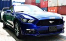 "Ngựa hoang" Ford Mustang GT V8 2015 đầu tiên về Việt Nam