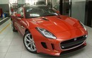 “Siêu báo” Jaguar F-Type S 2016 chính hãng tại Việt Nam