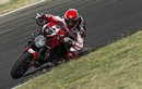 Cận cảnh “quỷ đầu đàn mới” Ducati Monster 1200R 