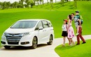 Trải nghiệm Honda Accord 2016 và Odyssey tại Sài Gòn