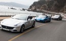 Hàng chục "siêu ngựa" Ferrari tung vó tại Hàn Quốc