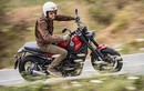 Môtô Benelli Leoncino Scrambler "chốt giá" 160 triệu đồng  