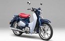 Honda Super Cub C125 "thét giá" 150 triệu tại Sài Gòn?