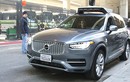 Volvo sẽ cung cấp hàng chục nghìn xe tự lái cho Uber