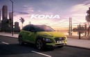 Công nhân Hyundai đình công, ngừng sản xuất Kona